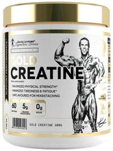 Kevin Levrone Gold Line / Gold Creatine Monohydrate 300g - Unflavored (Creatine)