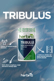 Herbina Tribulus Iron Thorn Extract Lepidium 90 Capsules