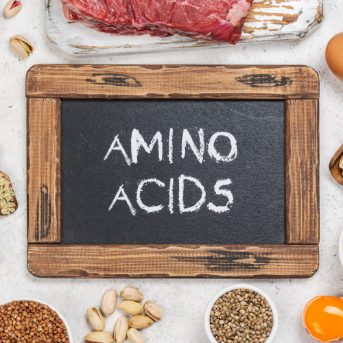 Amino Asitler Nedir? BCAA ve EAA Arasındaki Farklar