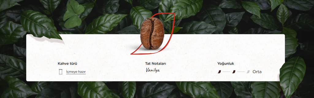 Nescafe Xpress Vanilyalı Hazır Soğuk Kahve 250ml