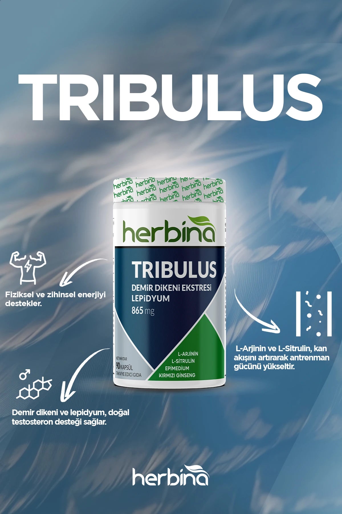 Herbina Demir Dikeni Ekstresi Lepidyum Takviyesi 90 Kapsül Ürün ikincil görseli