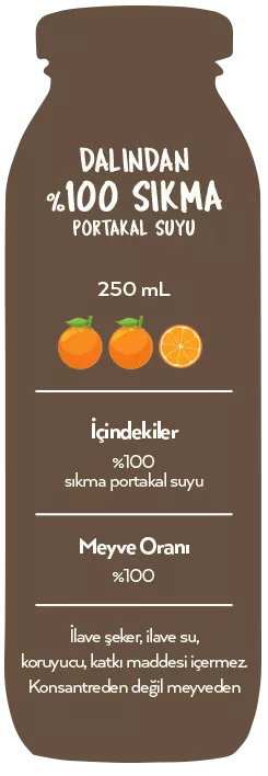 Naren Sıkma %100 Portakal Suyu - 250ml