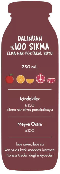 Naren Sıkma %100 Nar & Portakal ve Elma Suyu - 250ml