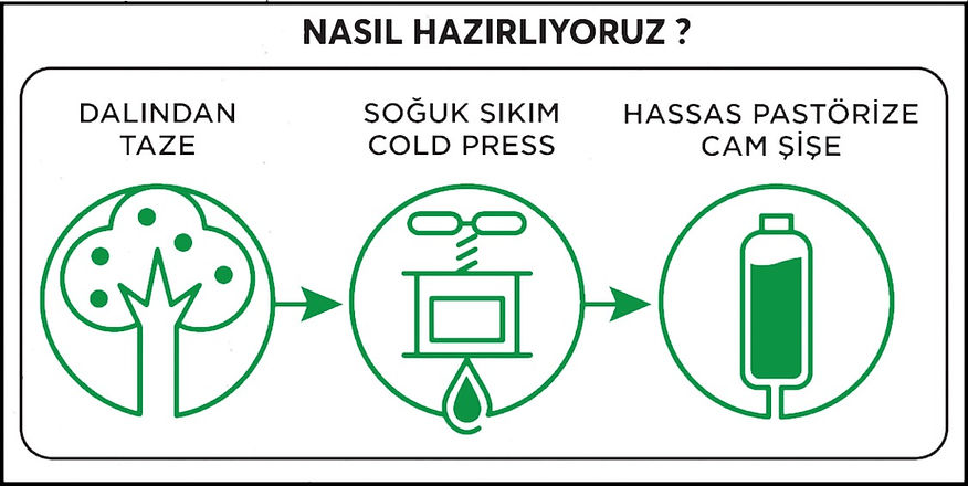Tazeyim Portakal Limon Zencefil Suyu - 250ml