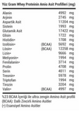 ONYX Nutrition %100 Whey Protein 2013 Gr (Çikolata) Protein Tozu