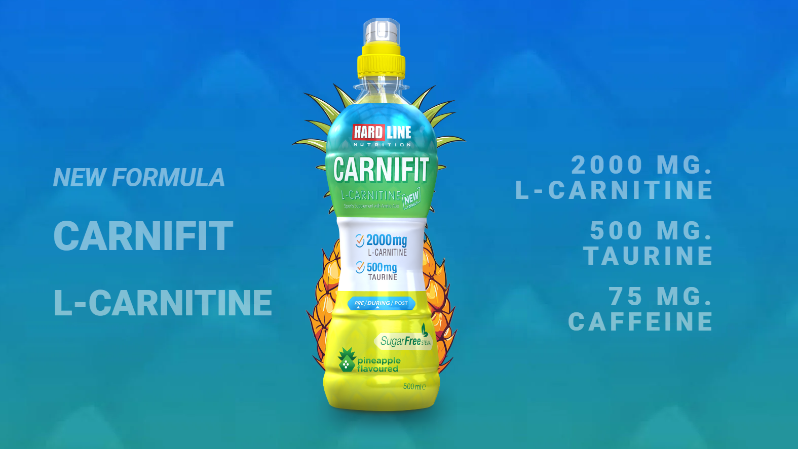 Hardline Carnifit L-Carnitine Ananas Aromalı Sporcu İçeceği Ürün ikincil görseli
