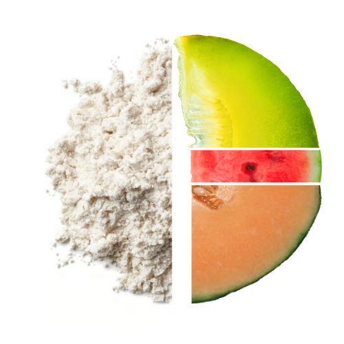 Z-Konzept BCAA-Pulver 500 Gramm – Exotische Melone Zweitbild